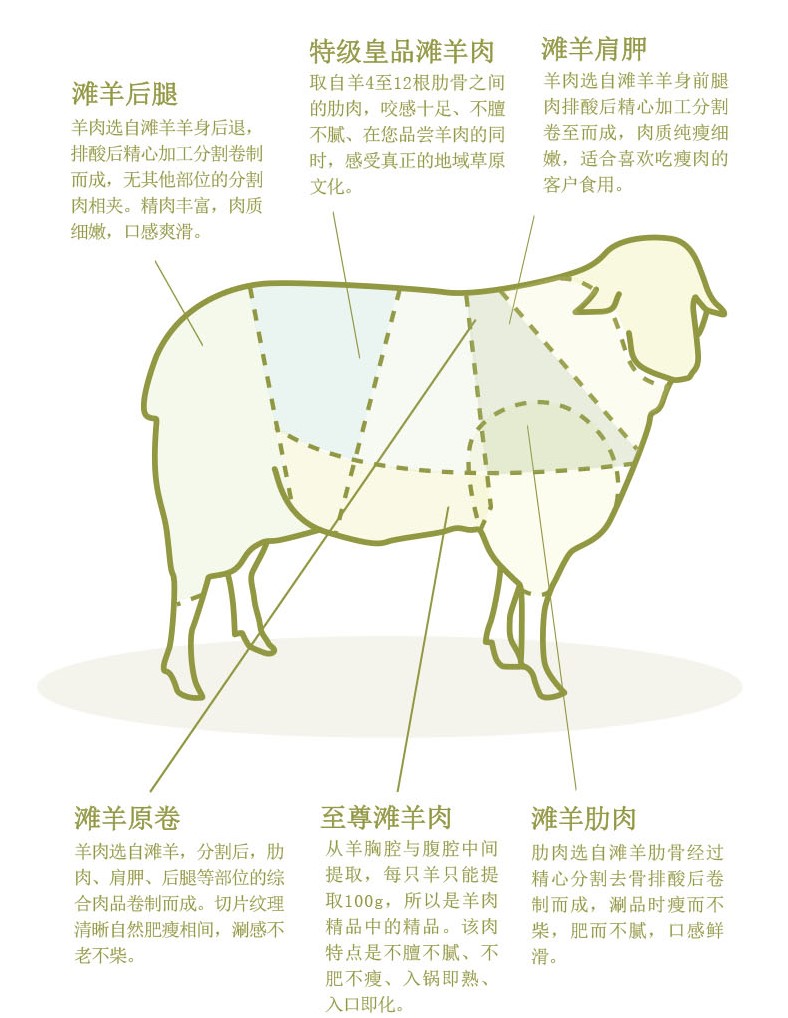 最新的滩羊食谱，一起来做吧！