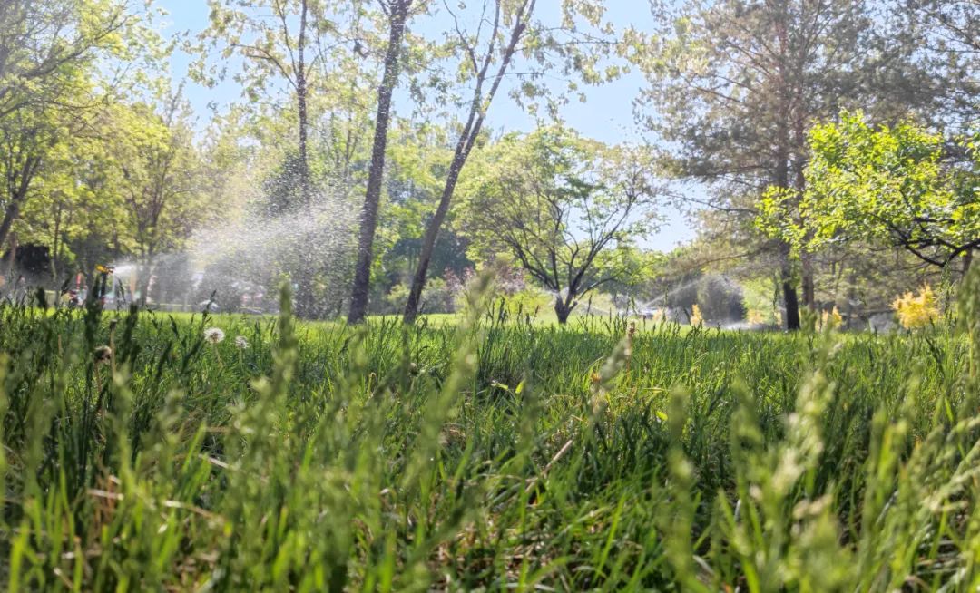 今日立夏，最高温冲上35℃！你准备好迎接夏天了吗？