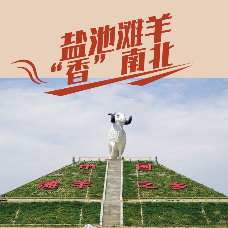 dc812d7829c84a8e964fb2e29d1f031.png dc812d7829c84a8e964fb2e29d1f031.png