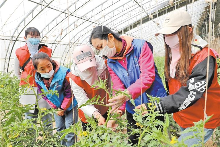 组合拳盘活土地资源 ——宁夏平罗县农村土地制度改革调查