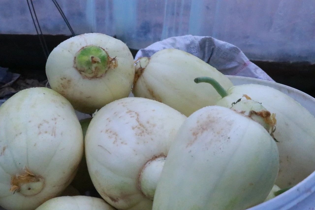 405fc4fe8073208fae6d9b16f0c93d0a.jpg 405fc4fe8073208fae6d9b16f0c93d0a.jpg