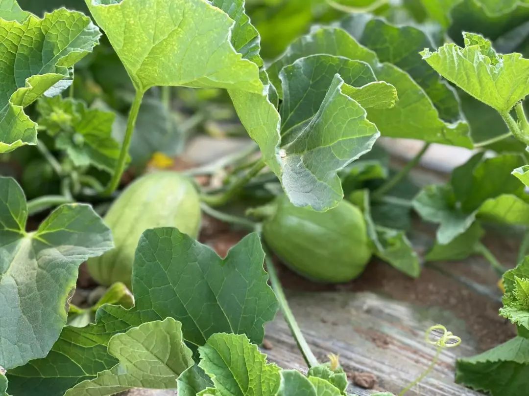 89df922277aed52f1ba170721c97555b.jpg 89df922277aed52f1ba170721c97555b.jpg