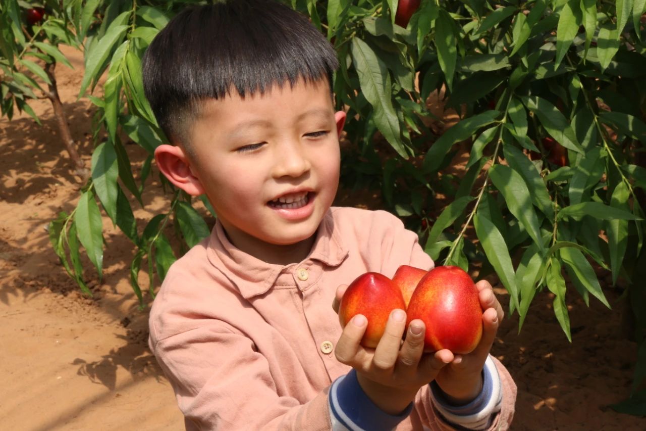 c01ed39b3eb6f11e9fffe73dc44508cb.jpg c01ed39b3eb6f11e9fffe73dc44508cb.jpg