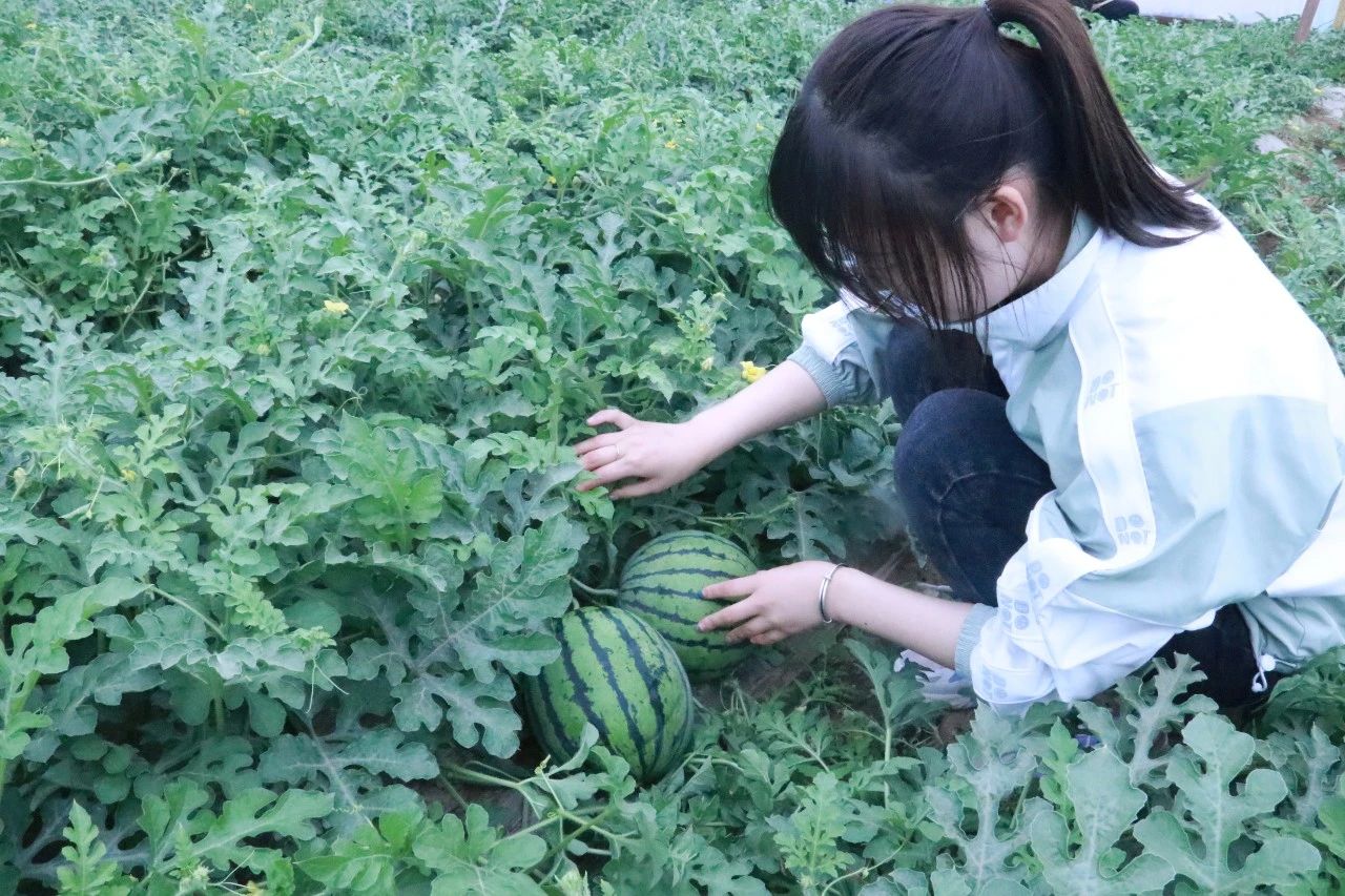 aca5e8359efd9b1ccf18df37af599533.jpg aca5e8359efd9b1ccf18df37af599533.jpg