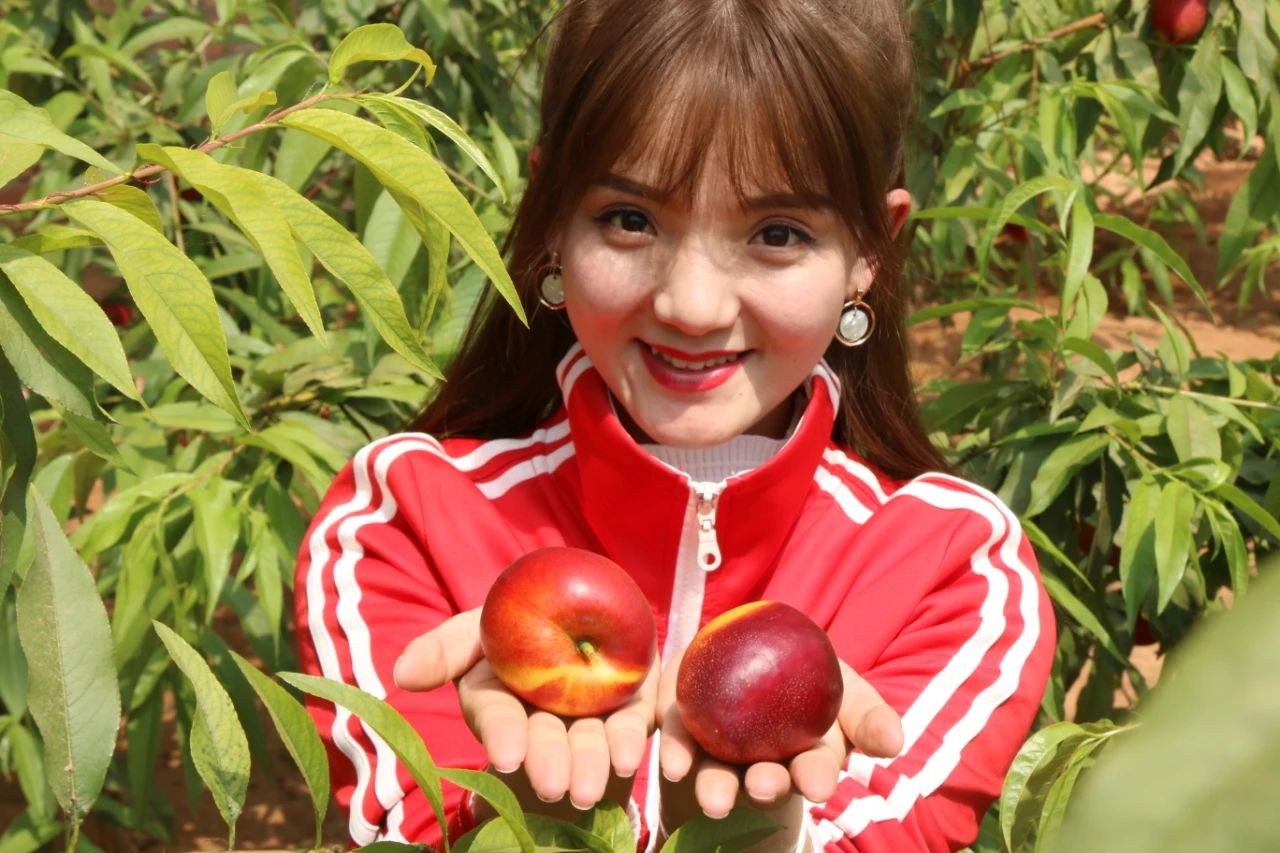 ef25387742c8071300d6013cf1623c26.jpg ef25387742c8071300d6013cf1623c26.jpg