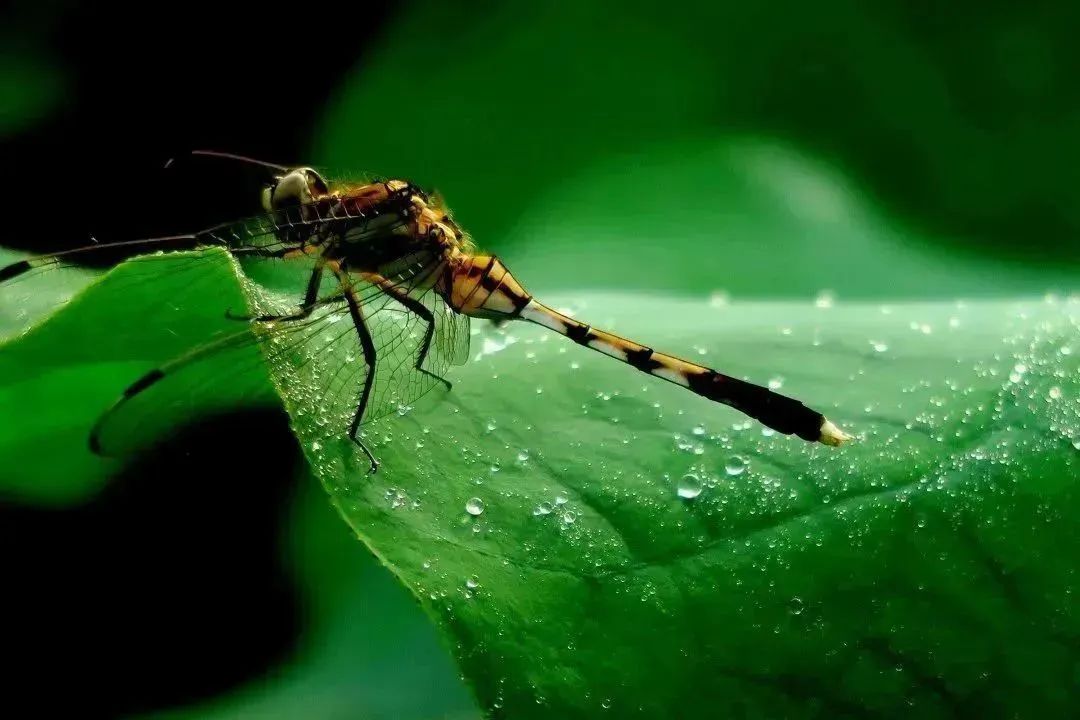 eebbca9eded8459fd4f5cbe770273138.jpg eebbca9eded8459fd4f5cbe770273138.jpg