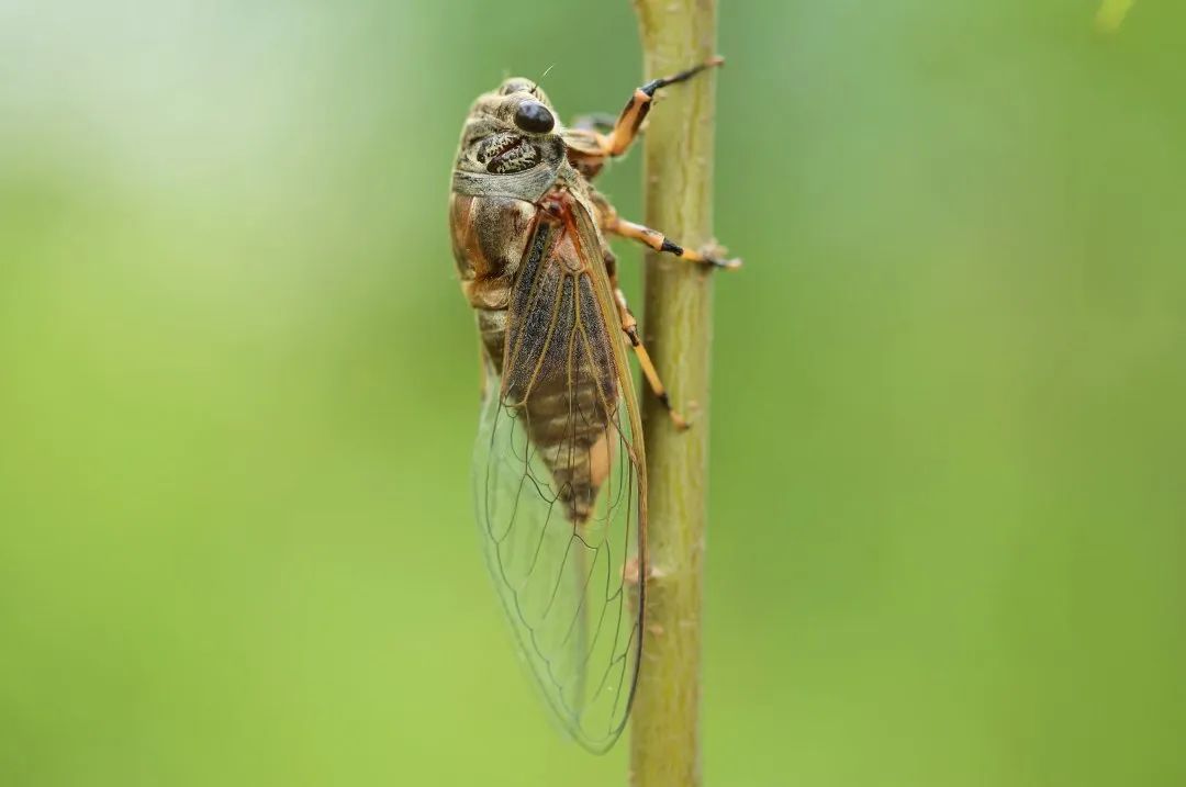 26a96f25abdf6de90b8e1eb8113b2f88.jpg 26a96f25abdf6de90b8e1eb8113b2f88.jpg