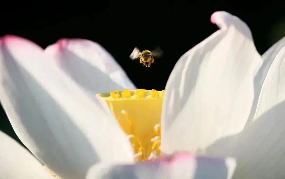 dda9da4eaf432ef65242f9cfe94d045f.jpg dda9da4eaf432ef65242f9cfe94d045f.jpg