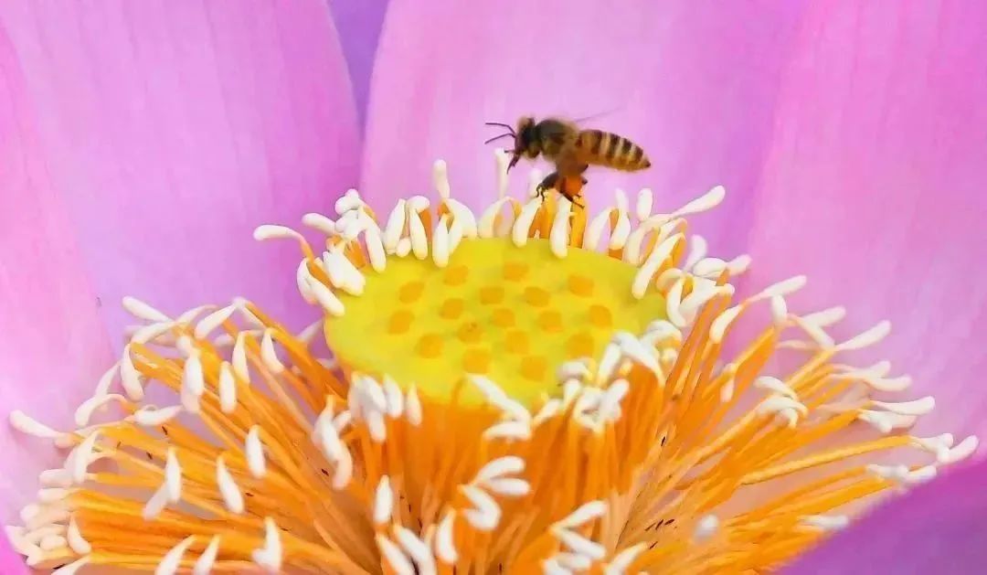 dbbbf9751d7fd83dd1b646487a127175.jpg dbbbf9751d7fd83dd1b646487a127175.jpg