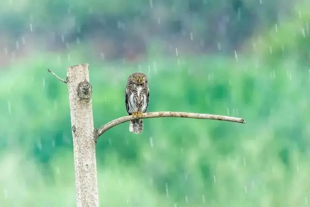 c2b54c7270cc669ec346212a46a01e9f.jpg c2b54c7270cc669ec346212a46a01e9f.jpg