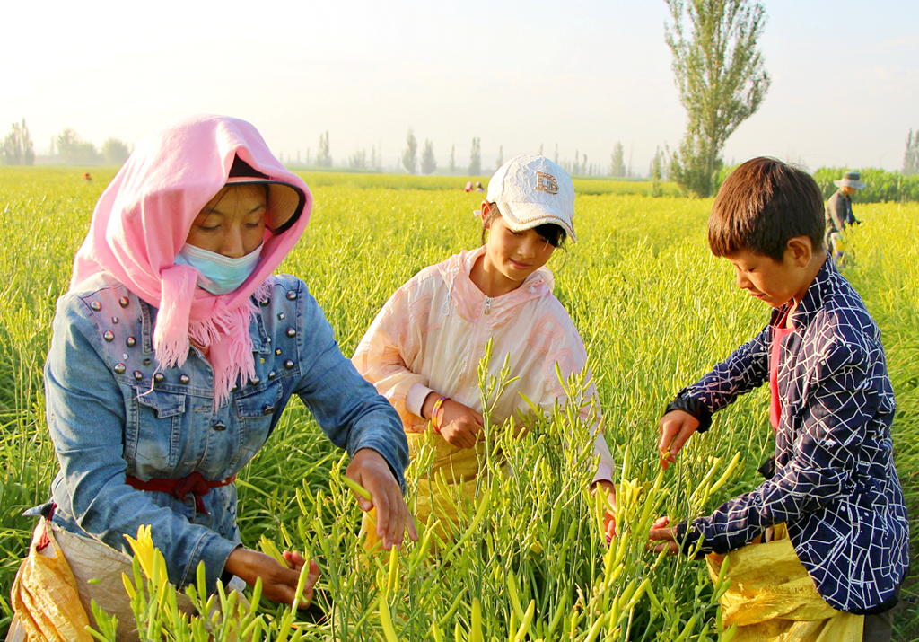 20230713211805.png 20230713211805.png