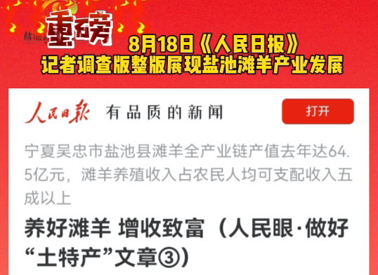 重磅  8月18日《人民日报》记者调查版整版展现盐池滩羊产业发展 