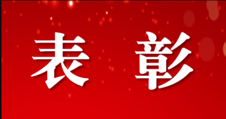 “两先一优”！盐池这些集体和老师拟获表彰