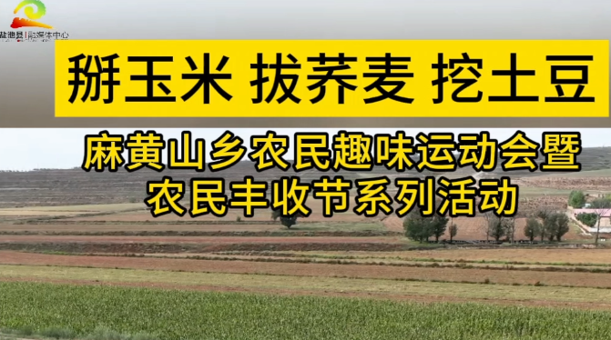 掰玉米 拔荞麦 挖土豆——麻黄山乡农民趣味运动会暨农民丰收节系列活动