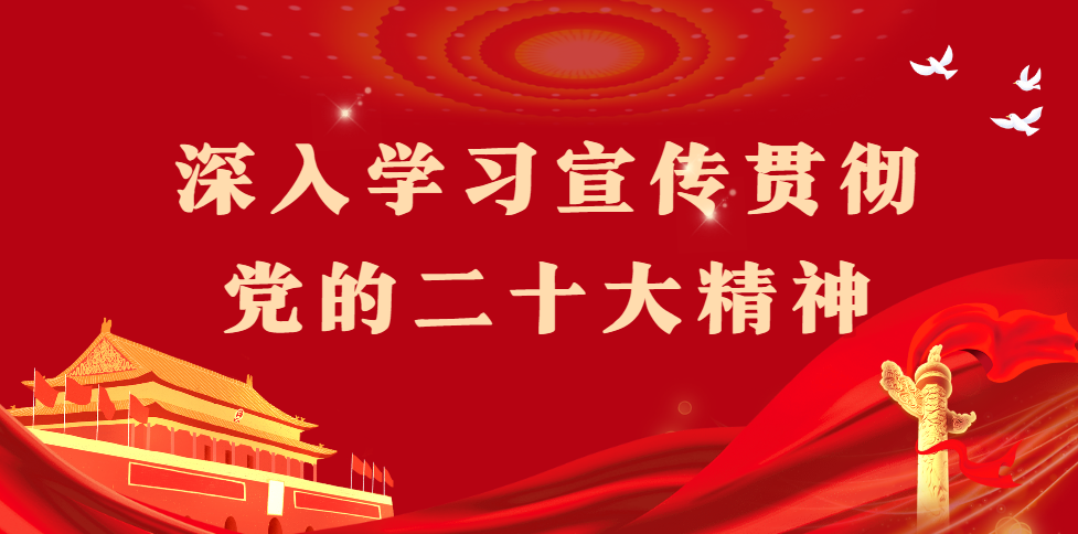 深入学习宣传贯彻党的二十大精神丨习近平提出，增进民生福祉，提高人民生活品质