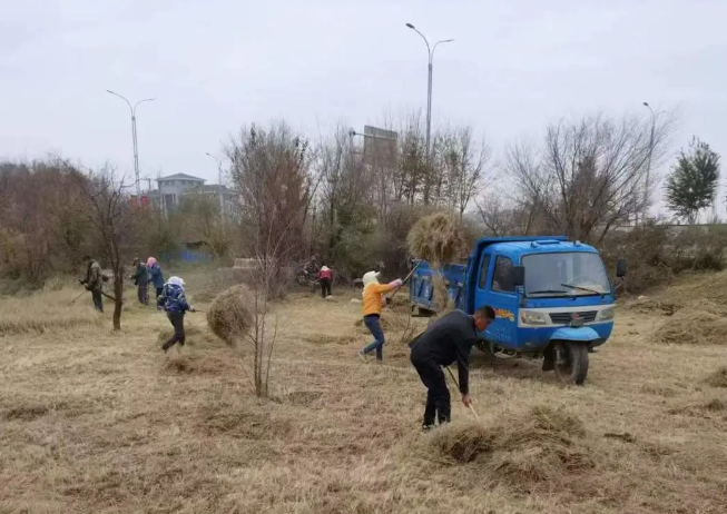 防患于未“燃”“城市园丁”冬季集中清理林下可燃物