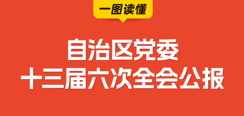 一图读懂｜中国共产党宁夏回族自治区第十三届委员会第六次全体会议公报