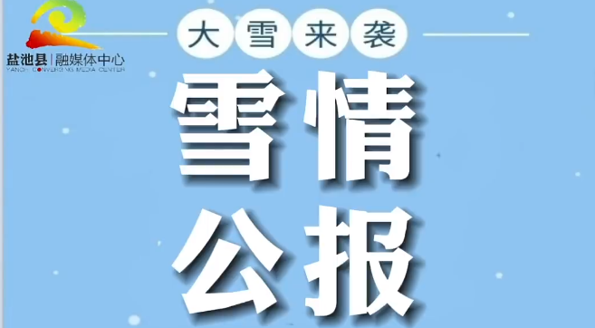 雪情公报 