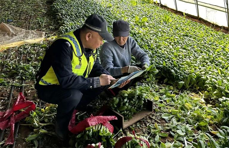 强信心 加油干 勇争先｜行走在盐池大地的“春耕警务”