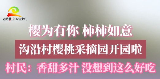 樱为有你 柿柿如意 沟沿村樱桃采摘园开园啦