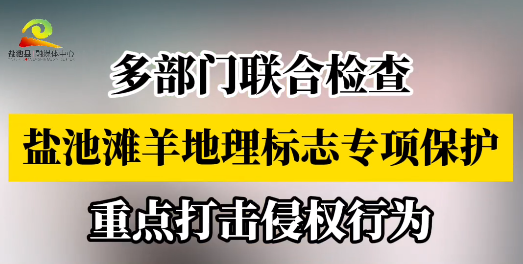 多部门联合开展“盐池滩羊”地理标志专项保护活动