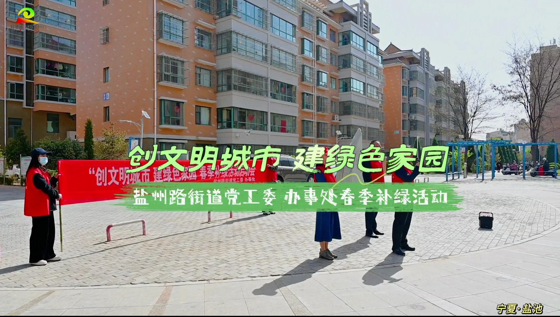 文明城市创建 盐池在行动丨创文明城市 建绿色家园 盐州路街道党工委 办事处春季补绿活动