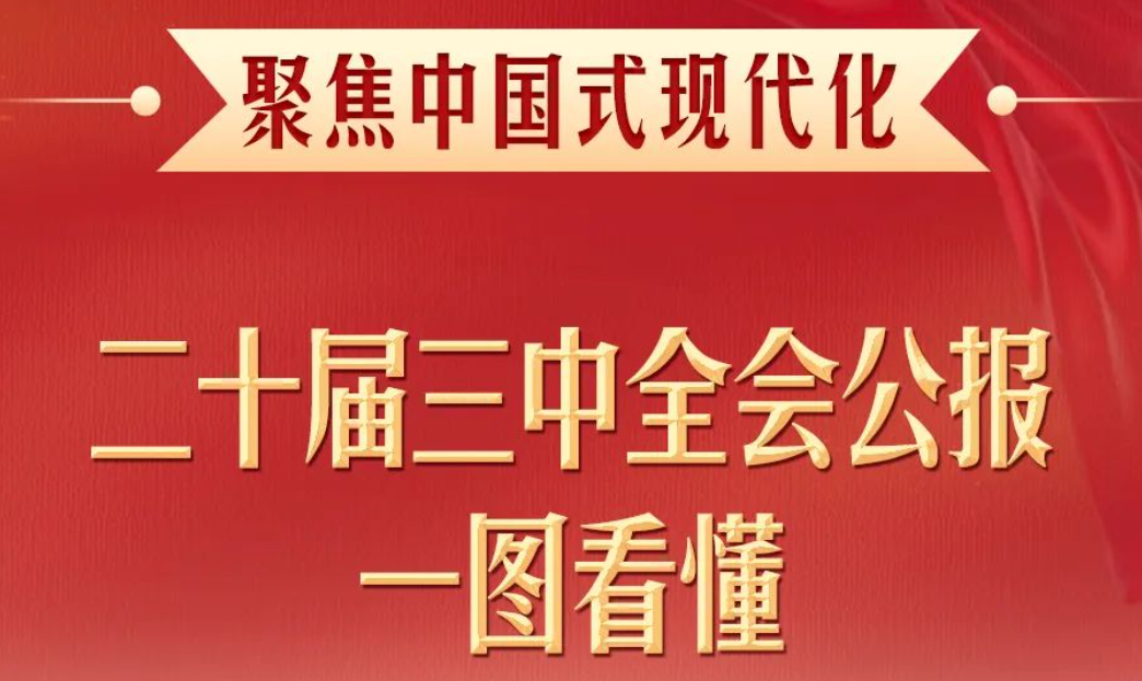 学习贯彻党的二十届三中全会精神 | 一图看懂二十届三中全会公报 