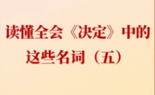 学习贯彻党的二十届三中全会精神丨读懂全会《决定》中的这些名词（五）