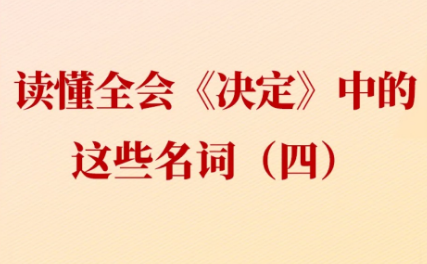 学习贯彻党的二十届三中全会精神丨读懂全会《决定》中的这些名词（四）