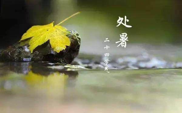 二十四节气 | 今日处暑！暑气将尽，秋光可期 