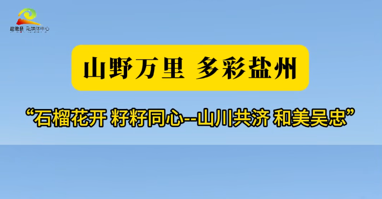 “石榴花开 籽籽同心--山川共济 和美吴忠”网络主题宣传活动 