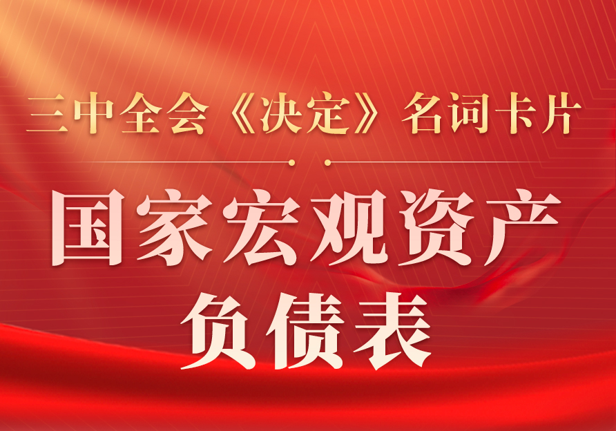 三中全会《决定》名词卡片天天学：国家宏观资产负债表