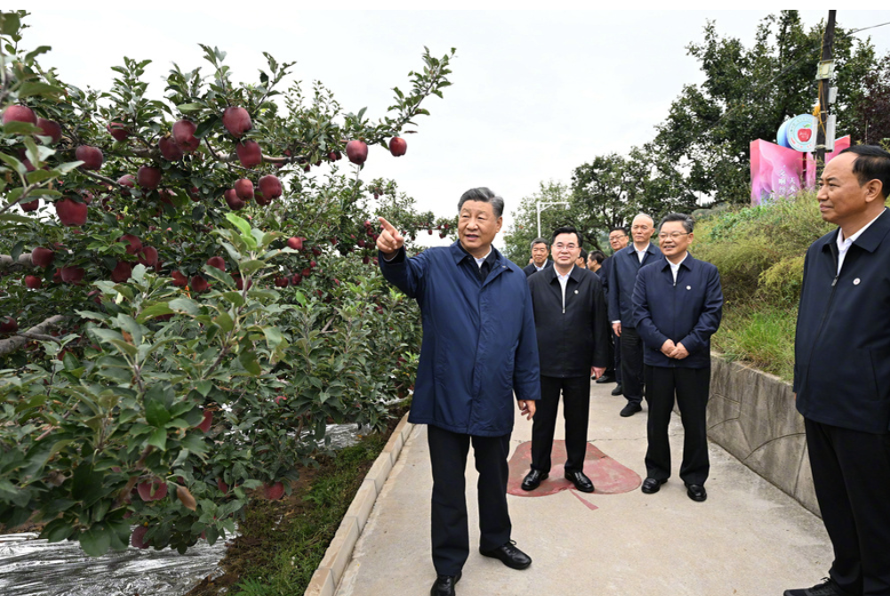 习近平：乡村振兴要靠产业，各地要各展其长