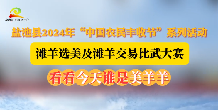 盐池县2024年“中国农民丰收节”系列活动滩羊选美及滩羊交易比武大赛 看看今天谁是美羊羊 