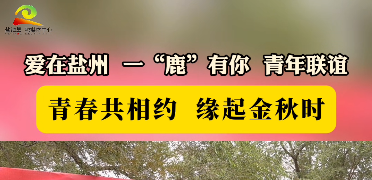 爱在盐州  一“鹿”有你青年联谊 ——青春共相约  缘起金秋时 