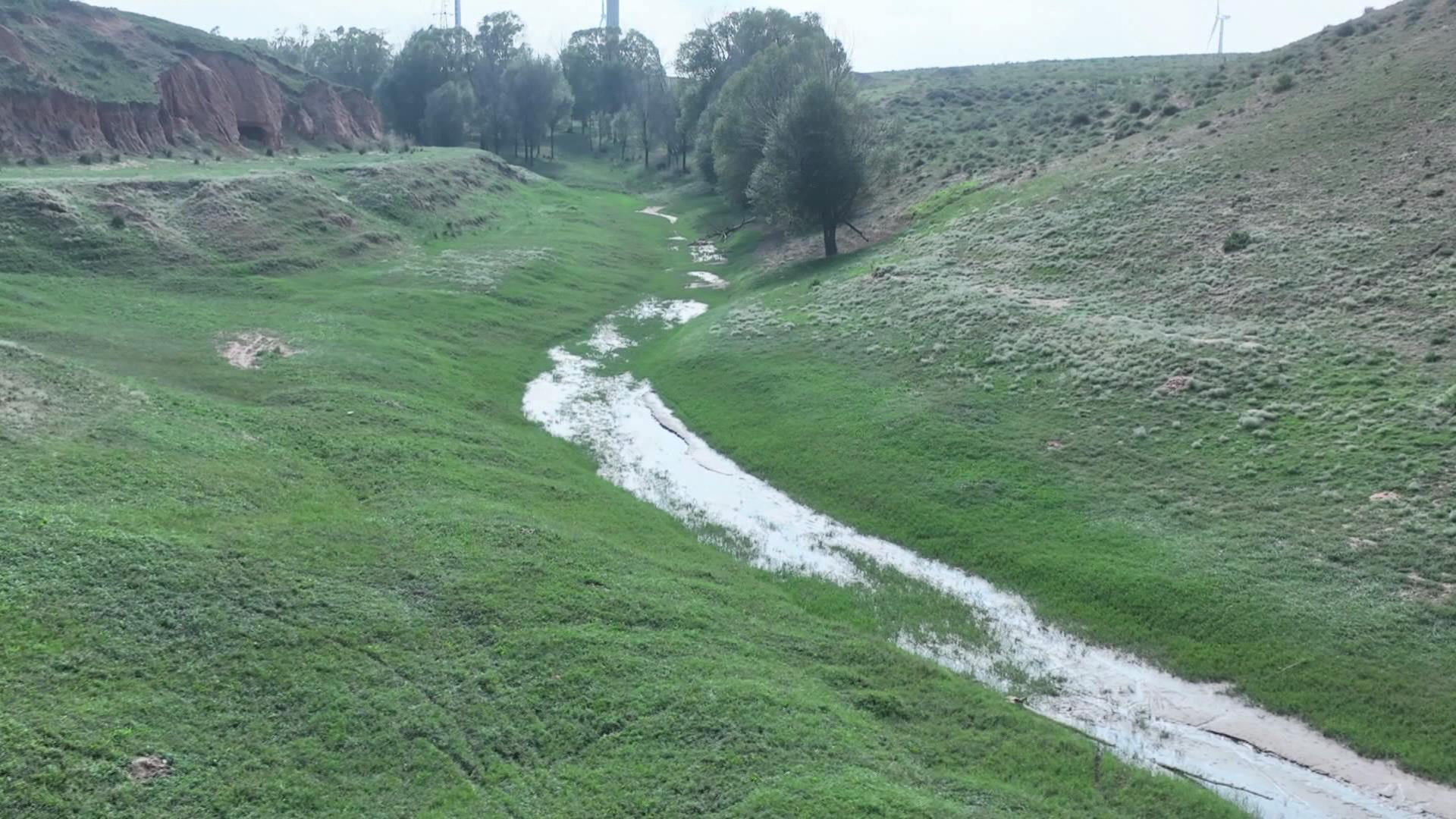 雨露润草原 绿满盐州大地