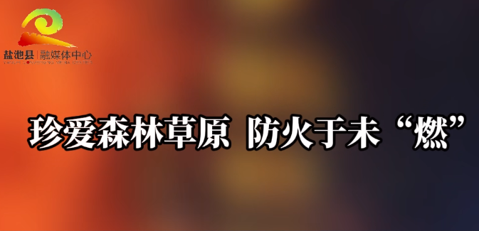 人人讲安全 平安千万家 | 珍爱森林草原  防火于未“燃”