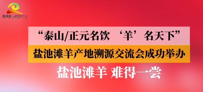 “泰山/正元名饮 ‘羊’名天下” 盐池滩羊产地溯源交流会成功举办 盐池滩羊 难得一尝