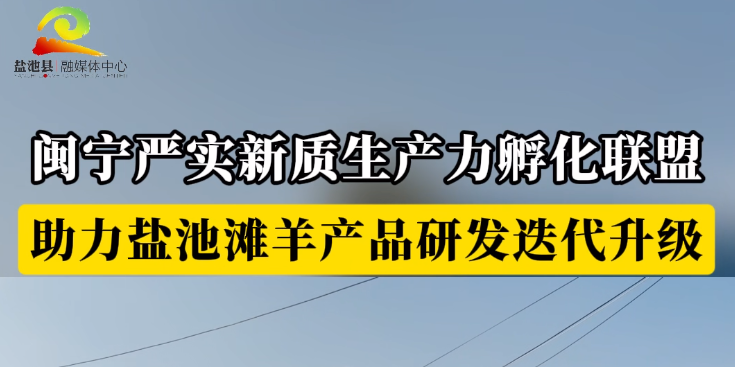 闽宁严实新质生产力孵化联盟  助力盐池滩羊产品研发迭代升级