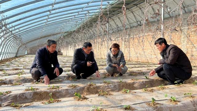 盐池县纪委监委：创新&ldquo;12345&rdquo;工作机制 激活村务监督&ldquo;神经末梢&rdquo;