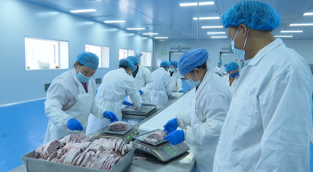 盐池县九道农业：创新&ldquo;智慧养殖&rdquo; 联农带农增收致富