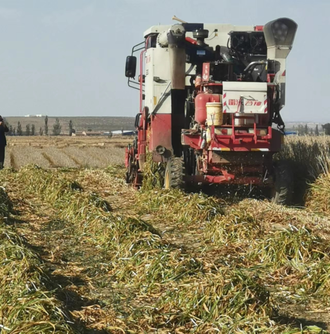 惠安堡镇：推进秋季农田水利建设 让粮田变&ldquo;良田&rdquo;