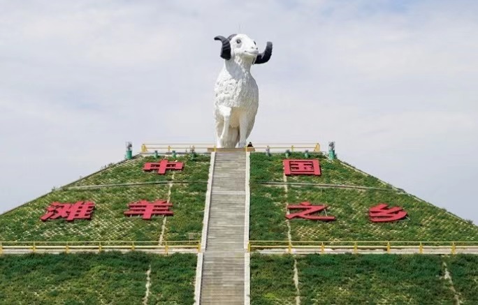 【绿色中国】盐池滩羊&ldquo;香&rdquo;南北