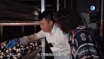 全球连线|摩洛哥小姐姐带你打卡《山海情》故事发生地