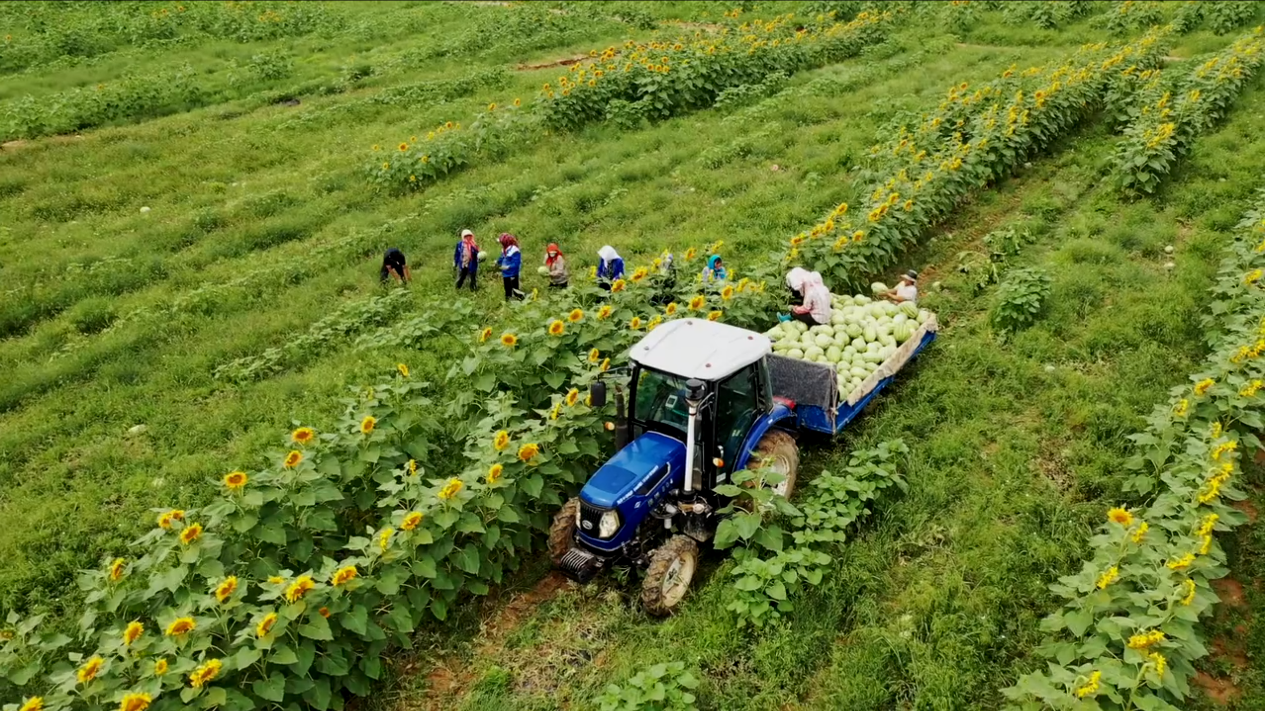 盐池县入选全国率先基本实现主要农作物生产全程机械化示范县