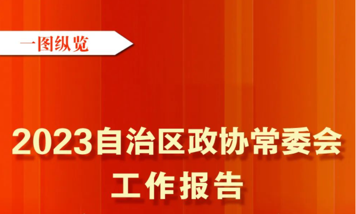 一图纵览丨自治区政协常委会工作报告
