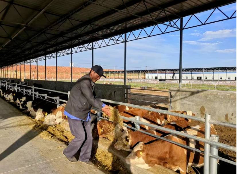 吴忠：&ldquo;六特&rdquo;产业描绘兴农新画卷