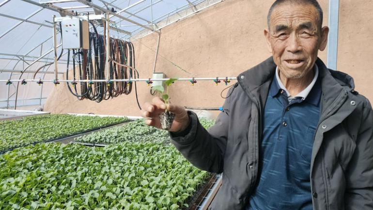 盐池县方山村：产业&ldquo;上新&rdquo;增收&ldquo;有道&rdquo;