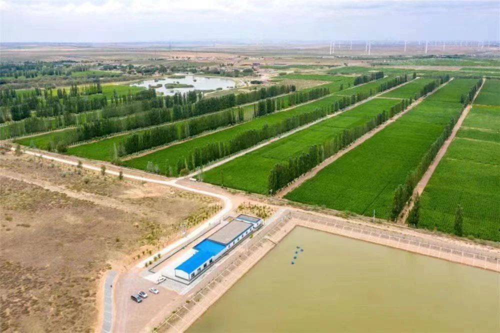 精打细算的&ldquo;马儿庄模式&rdquo;