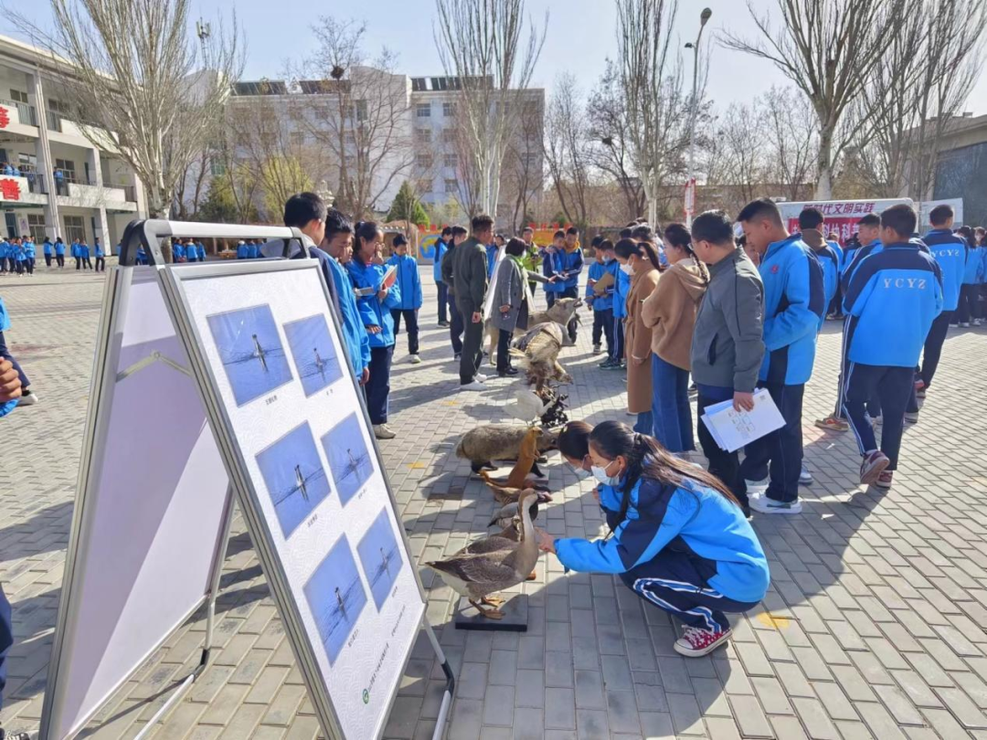 强信心 加油干 勇争先 | 盐池县开展爱鸟周科普进校园活动
